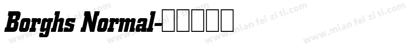 Borghs Normal字体转换